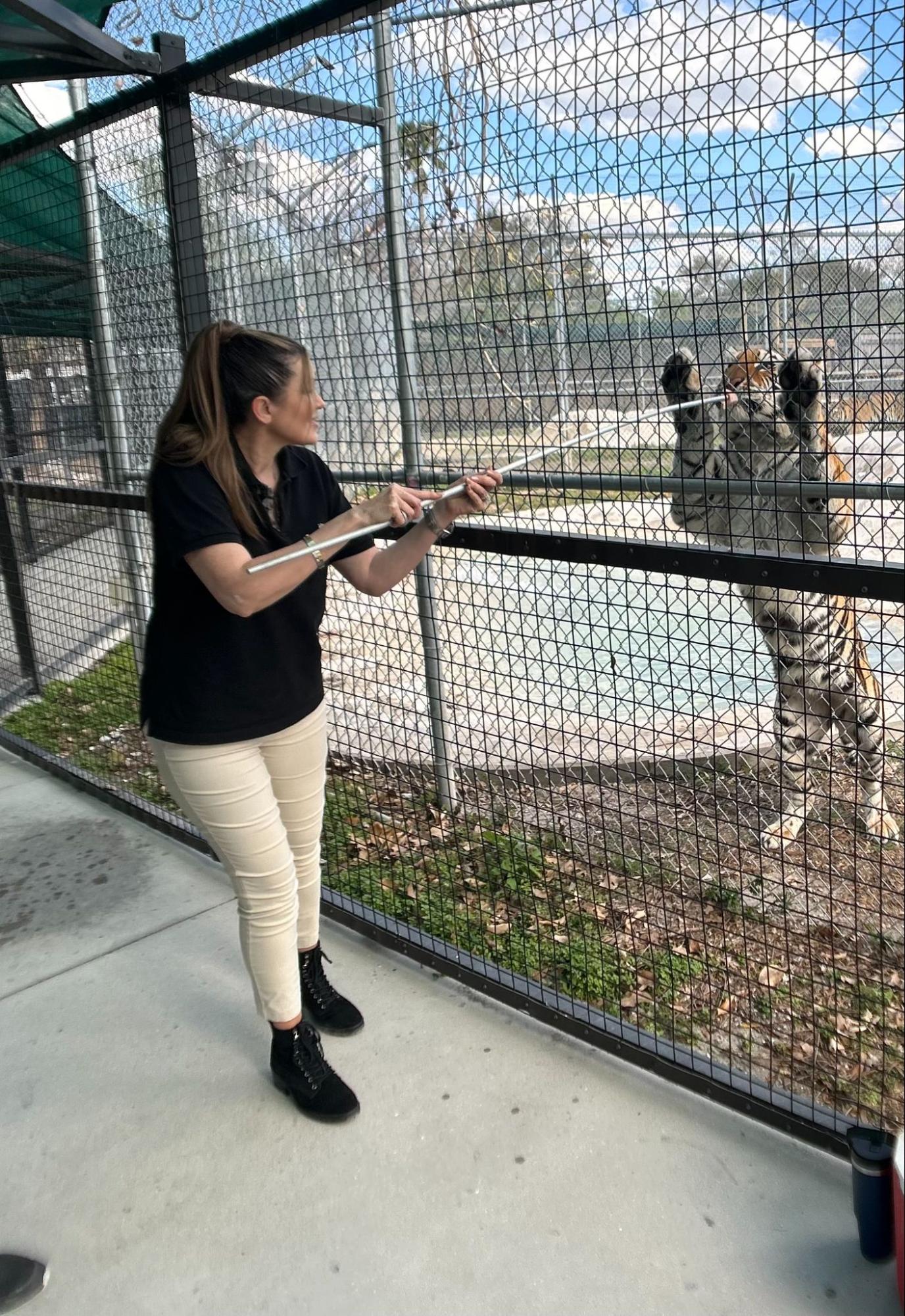 Big Cat Habitat: A Beloved Animal Rescue Recognized Nationally by American Dream Television Host Joanna Petriccione