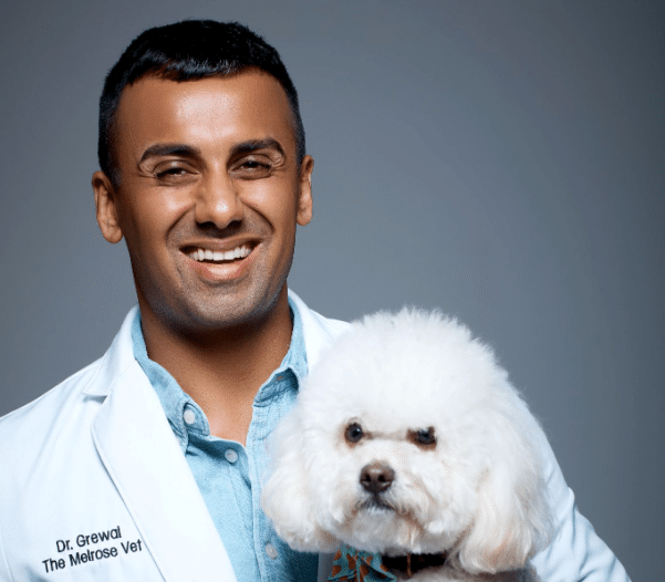 The Melrose Vet Cares About Hollywood And It’s Pets