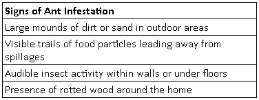 Guide to Professional Ant Control in Baton Rouge, LA