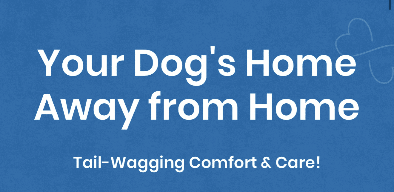 Pawmenities Redefining Pet Care with Boutique Luxury Boarding & Daycare (2)