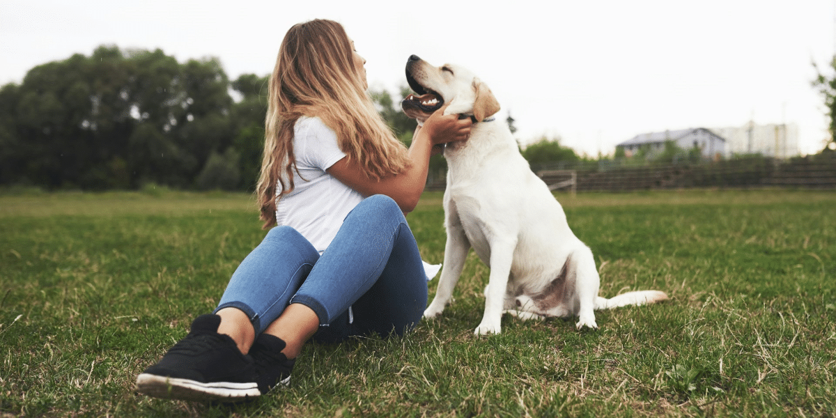 Why Adopting is Better Than Buying a Pet