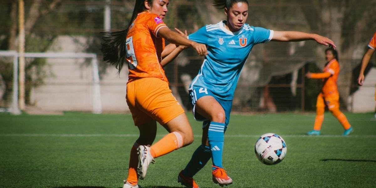 Inclusive Representation: A Call for Equality in Sports