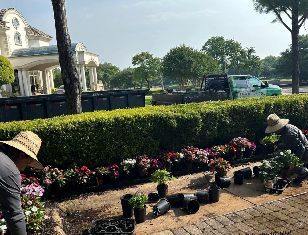 Dragons Landscaping Brings Outdoor Spaces to Life