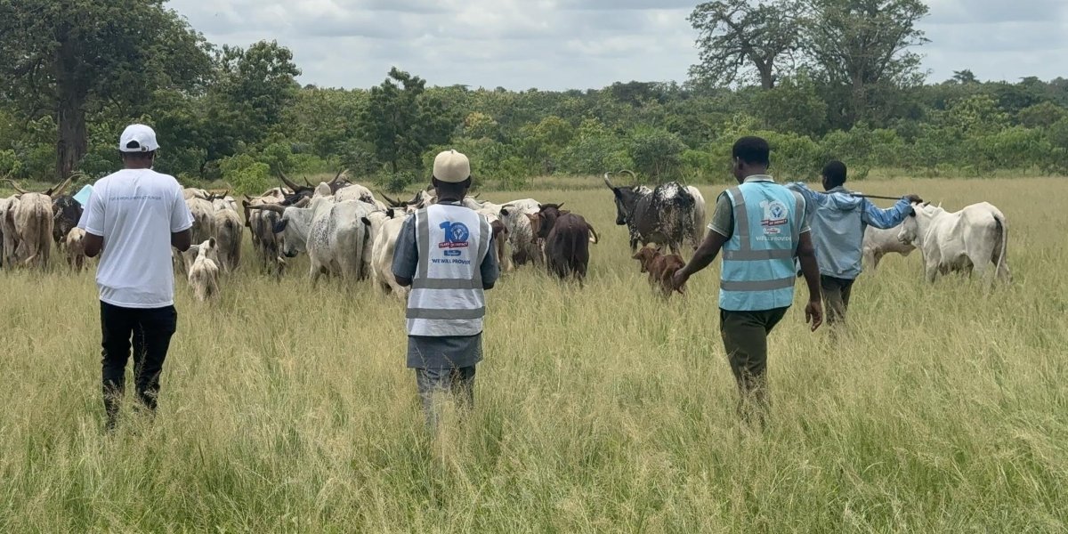 Tracking Your Qurbani Donation: How MATW Project Ensures Accountability