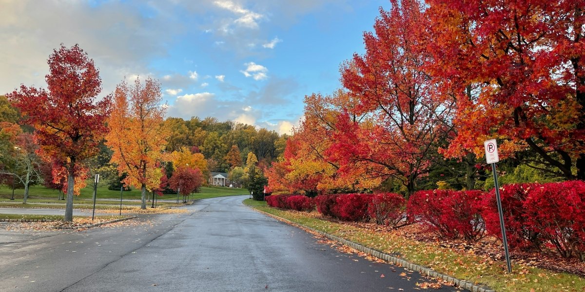 What’s Really Driving Morris County Families to Buy Multi-Generational Homes