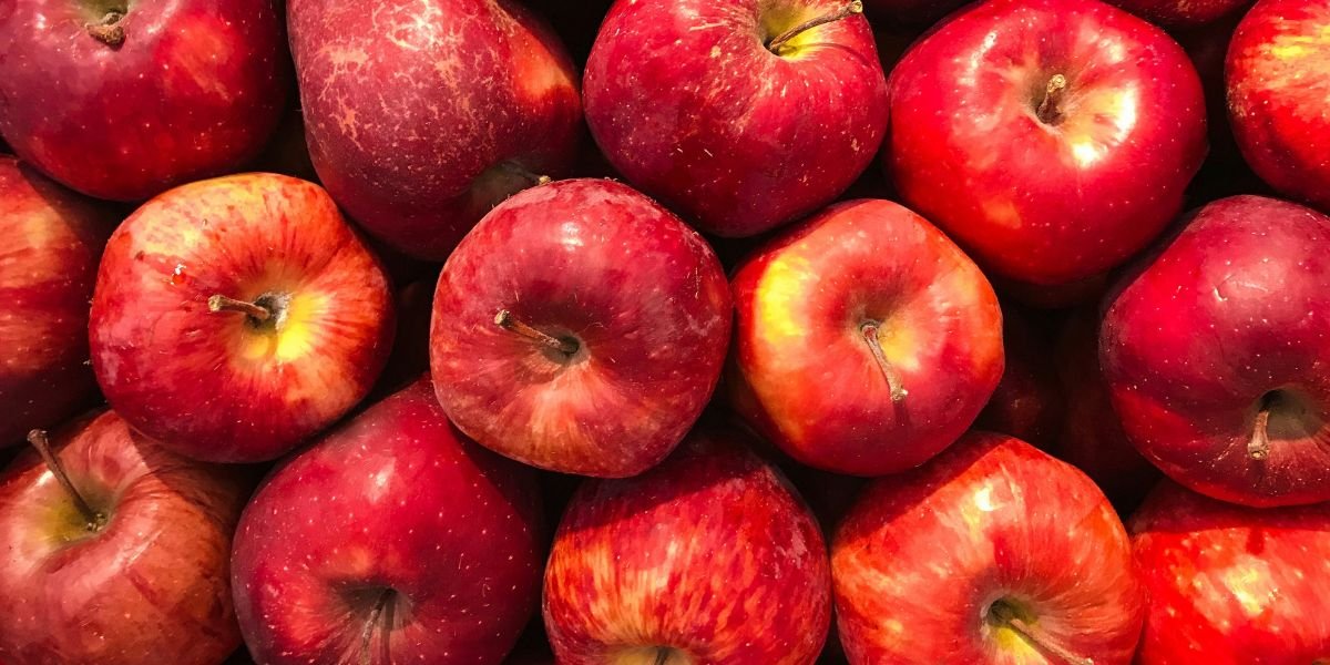 Eastern Apple Season Arrives New-Crop Varieties Bring Fresh Options Closer to Southeast Buyers
