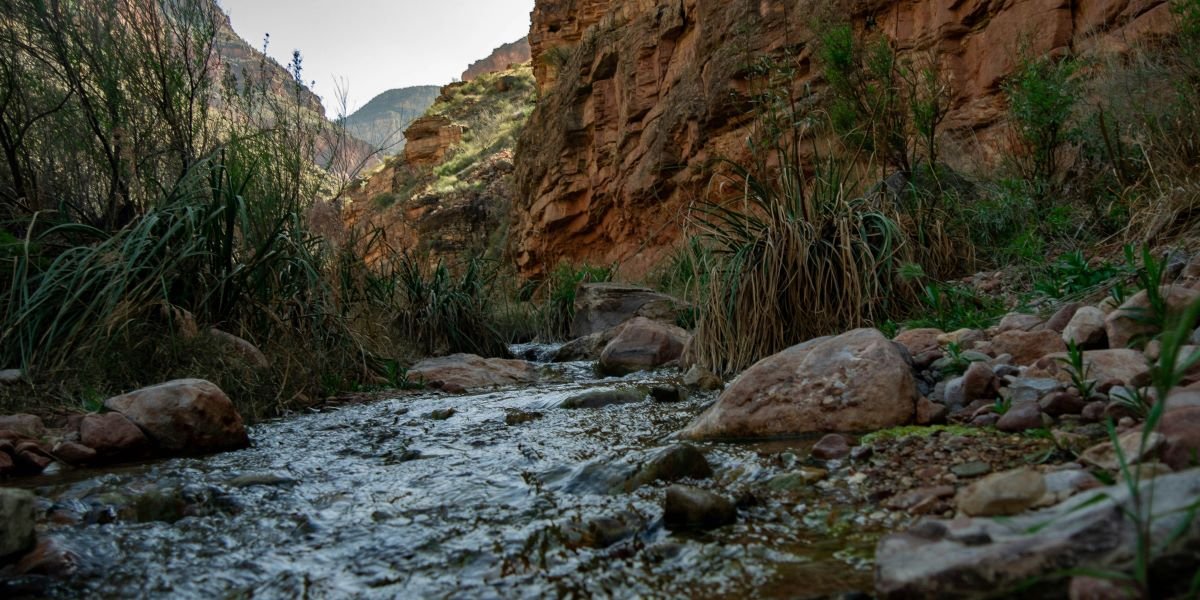 Flash Flood Kills Two at Grand Canyon and Leaves 14 Missing as Rescue Teams Brace for More Storms Across Northern Arizona